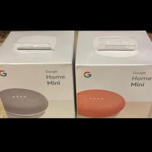 2 pack google mini